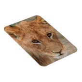 Lion Cub Magneet (Rechterzijde)