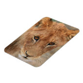 Lion Cub Magneet (Linkerzijde)