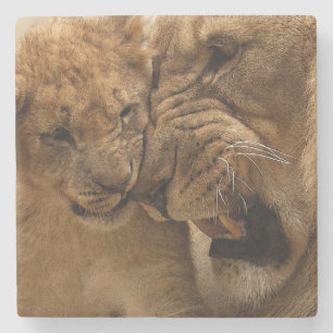 Lion cub met vader stenen onderzetter