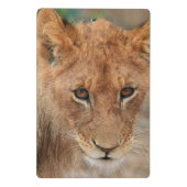 Lion Cub Mini Klembord (Achterkant)