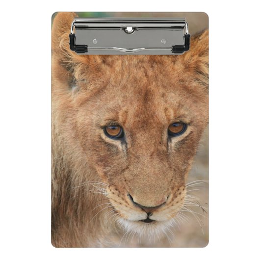 Lion Cub Mini Klembord (Voorkant)