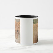 Lion Cub Mok (Midden)