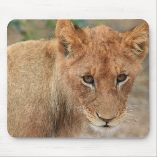 Lion Cub Muismat