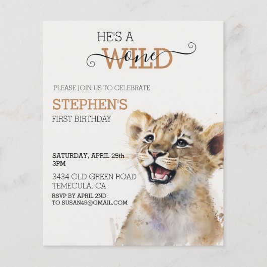 Lion Cub Oerwoud Safari Wild Op een dag (Voorkant)