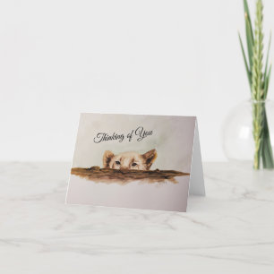 Lion Cub Peeking Over a Log Note Card Bedankkaart