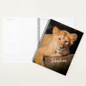 Lion Cub Planner (Display)