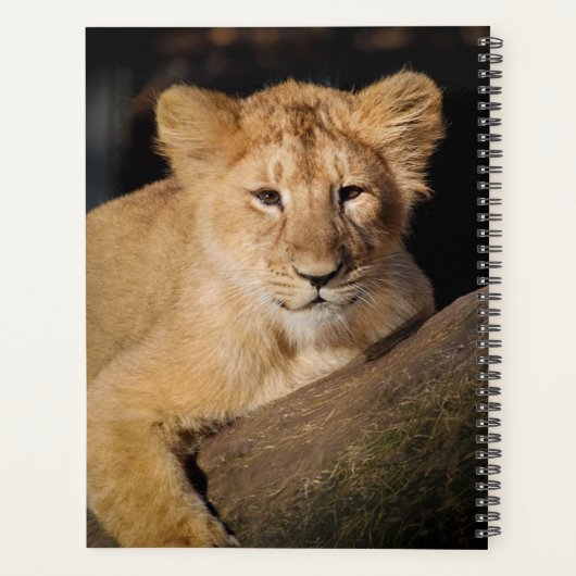 Lion Cub Planner (Achterkant)
