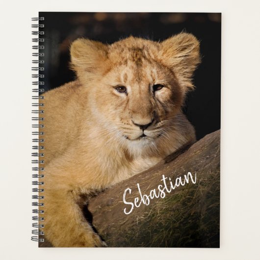 Lion Cub Planner (Voorkant)
