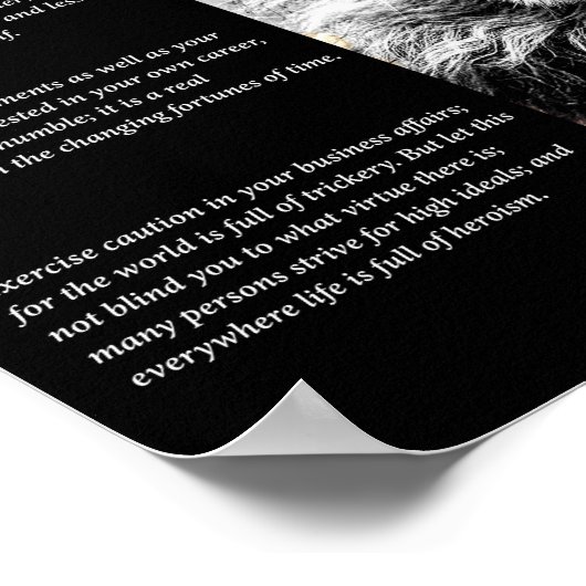 Lion Cub Poster (Hoek)