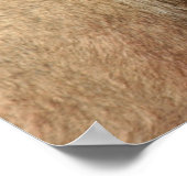 Lion Cub Poster (Hoek)