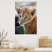Lion Cub Poster (Keuken)