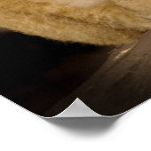 Lion Cub Poster (Hoek)