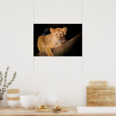 Lion Cub Poster (Keuken)