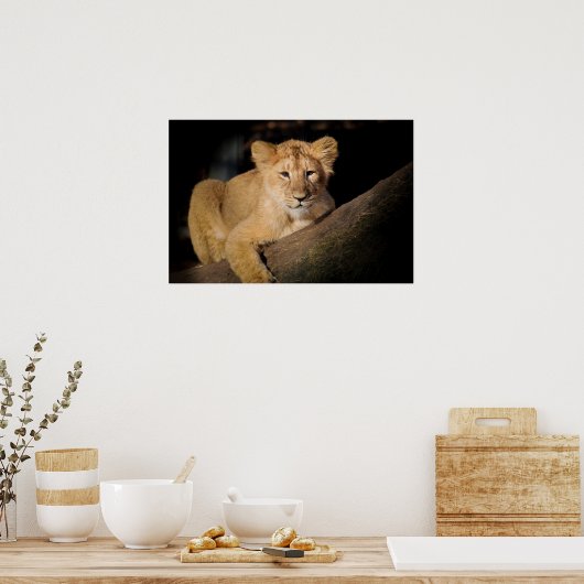 Lion Cub Poster (Keuken)