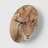 Lion Cub Ronde Klok (Hoek)