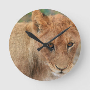 Lion Cub Ronde Klok