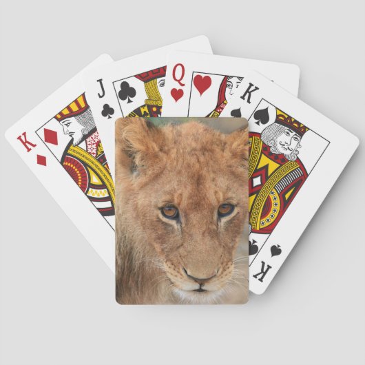 Lion Cub Speelkaarten (Achterkant)