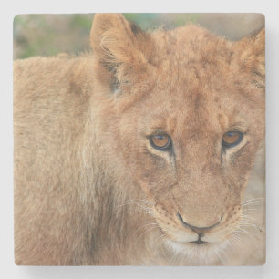 Lion Cub Stenen Onderzetter