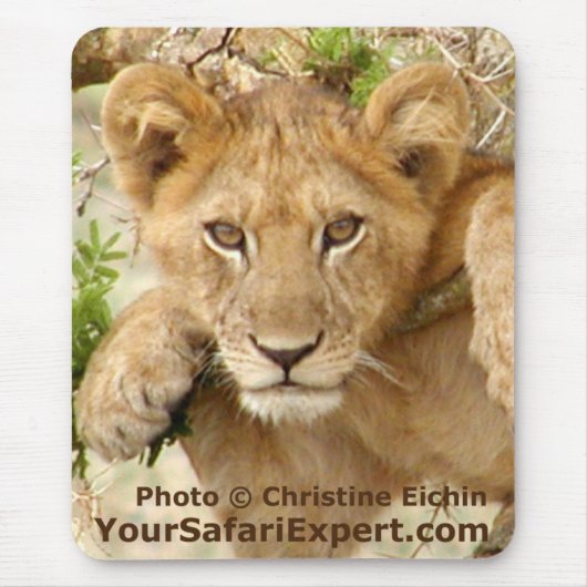 Lion Cub Vertical Mousepad Muismat (Voorkant)