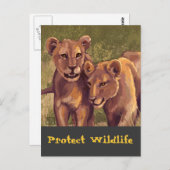 Lion Cubs beschermen de wilde dieren Briefkaart (Voorkant / Achterkant)