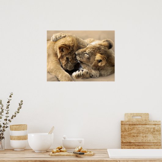 Lion cubs beste vrienden poster (Keuken)