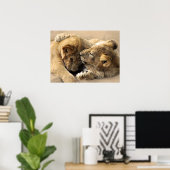 Lion cubs beste vrienden poster (Thuiskantoor)
