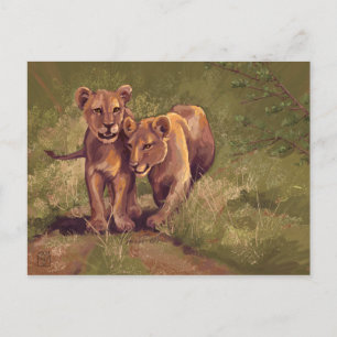 Lion Cubs Briefkaart