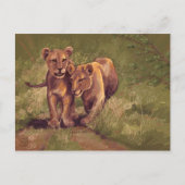 Lion Cubs Briefkaart (Voorkant)