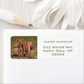 Lion Cubs Etiket (Insitu)