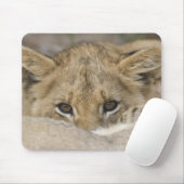 Lion Cub's Face Muismat (Met muis)