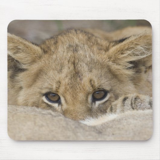 Lion Cub's Face Muismat (Voorkant)