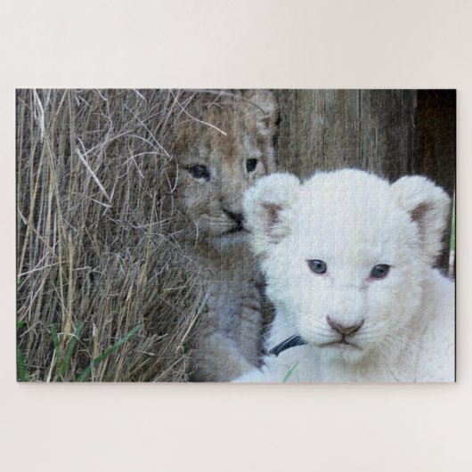 Lion Cubs Legpuzzel (Horizontaal)