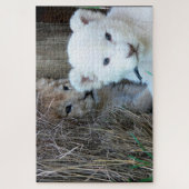 Lion Cubs Legpuzzel (Verticaal)
