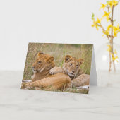Lion Cubs Lounging Kaart (Gele Bloem)