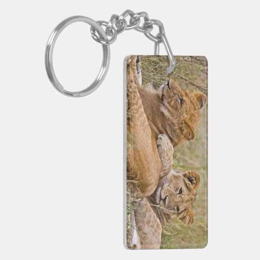 Lion Cubs Lounging Sleutelhanger (Voorkant Links)