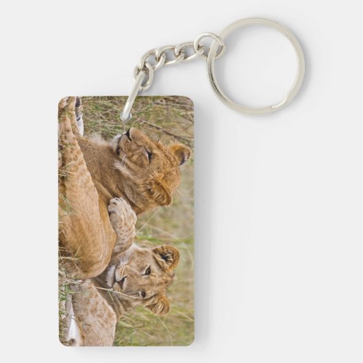 Lion Cubs Lounging Sleutelhanger (achterkant)