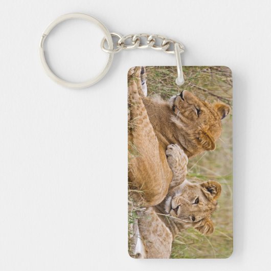 Lion Cubs Lounging Sleutelhanger (Voorkant)