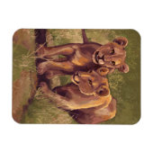 Lion Cubs Magneet (Horizontaal)