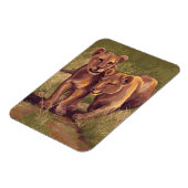 Lion Cubs Magneet (Linkerzijde)