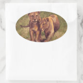 Lion Cubs Ovale Sticker (Tas)