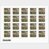 Lion Cubs Peeking Over Rock Vierkante Sticker (Vel)