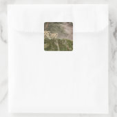 Lion Cubs Peeking Over Rock Vierkante Sticker (Tas)