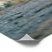 Lion Cubs Poster (Hoek)