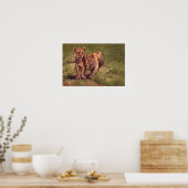 Lion Cubs Poster (Keuken)