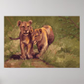Lion Cubs Poster (Voorkant)