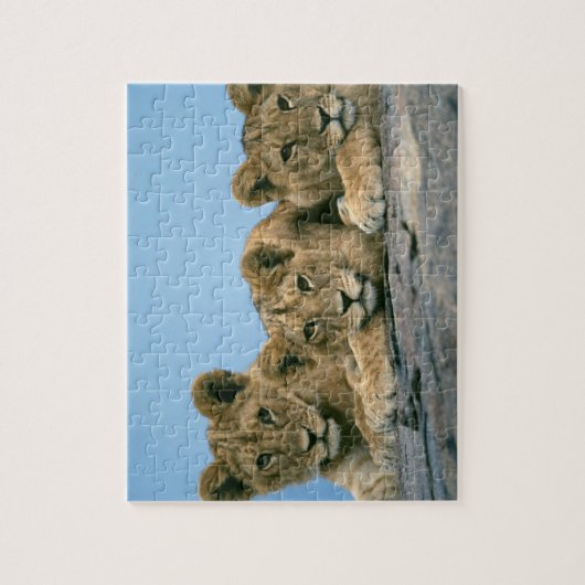 Lion Cubs Puzzle Legpuzzel (Verticaal)