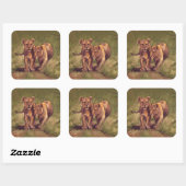 Lion Cubs Vierkante Sticker (Vel)