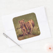 Lion Cubs Vierkante Sticker (Envelop)