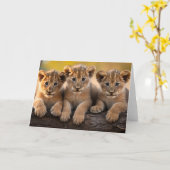 Lion Cubs Wenskaart Kaart (Gele Bloem)