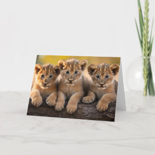 Lion Cubs Wenskaart Kaart